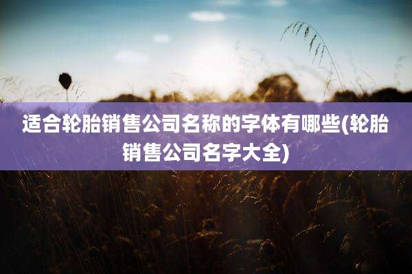 适合轮胎销售公司名称的字体有哪些(轮胎销售公司名字大全)