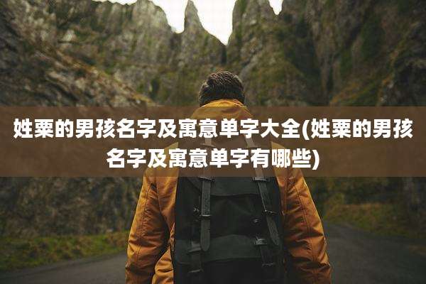 姓粟的男孩名字及寓意单字大全(姓粟的男孩名字及寓意单字有哪些)