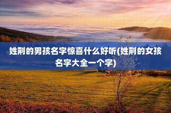 姓荆的男孩名字惊喜什么好听(姓荆的女孩名字大全一个字)