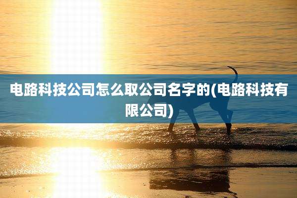 电路科技公司怎么取公司名字的(电路科技有限公司)