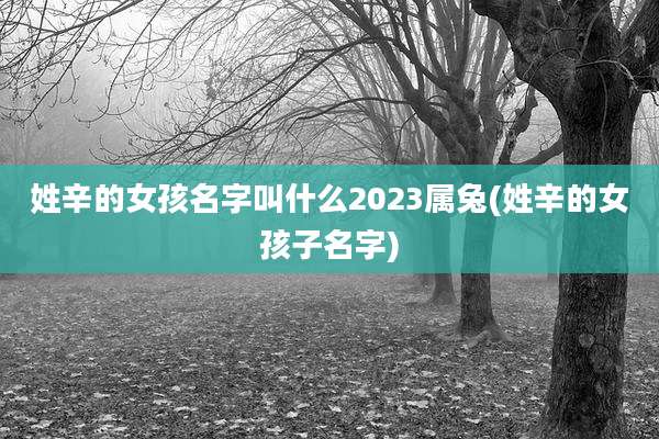 姓辛的女孩名字叫什么2023属兔(姓辛的女孩子名字)