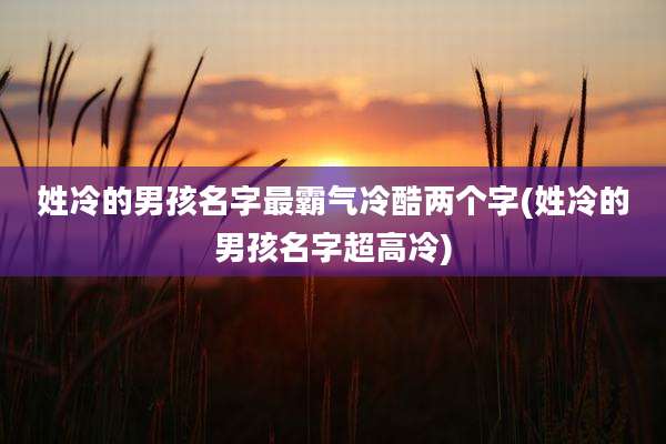 姓冷的男孩名字最霸气冷酷两个字(姓冷的男孩名字超高冷)