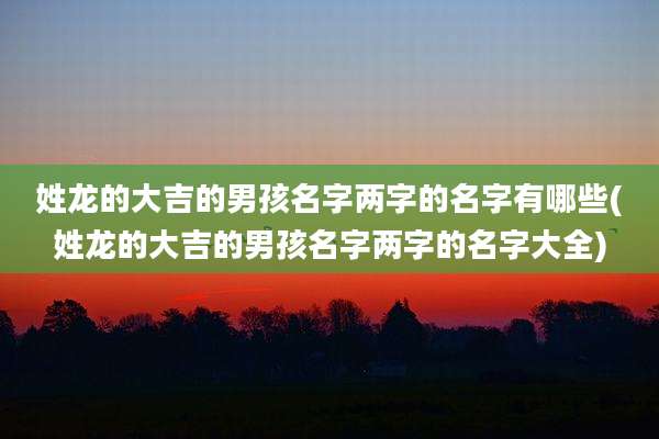 姓龙的大吉的男孩名字两字的名字有哪些(姓龙的大吉的男孩名字两字的名字大全)