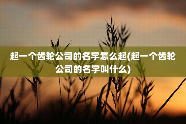 起一个齿轮公司的名字怎么起(起一个齿轮公司的名字叫什么)