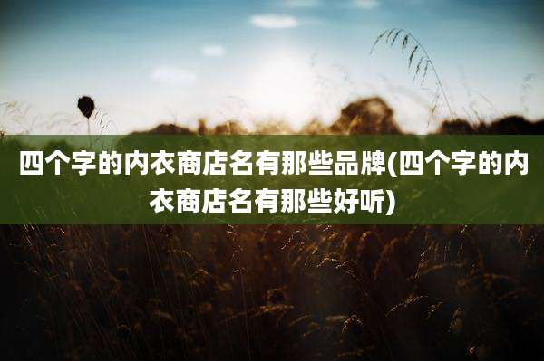 四个字的内衣商店名有那些品牌(四个字的内衣商店名有那些好听)
