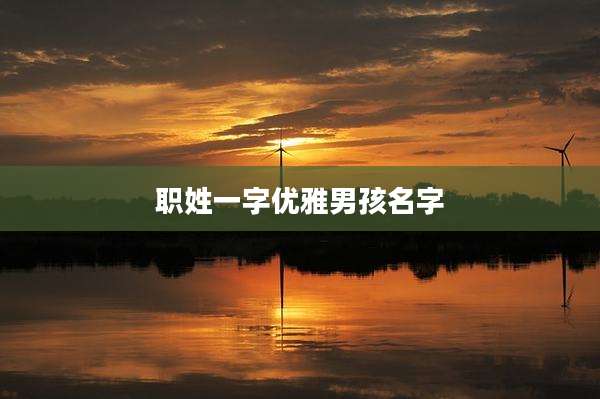 职姓一字优雅男孩名字