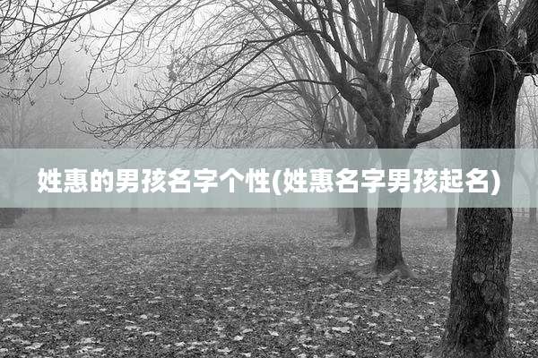 姓惠的男孩名字个性(姓惠名字男孩起名)