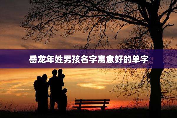岳龙年姓男孩名字寓意好的单字