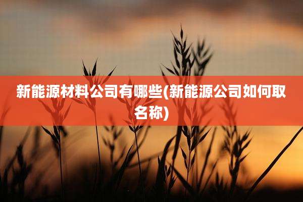 新能源材料公司有哪些(新能源公司如何取名称)