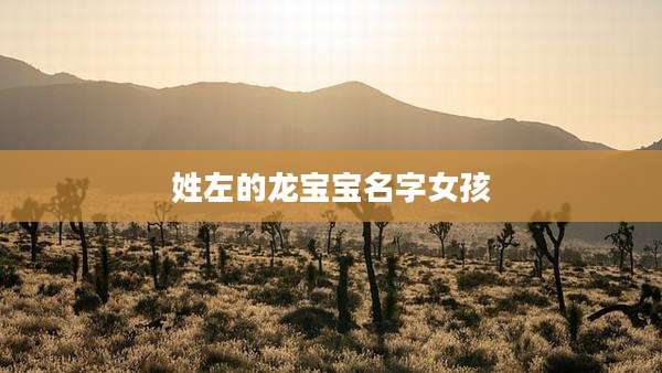 姓左的龙宝宝名字女孩