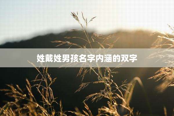 姓戴姓男孩名字内涵的双字
