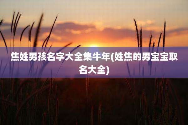 焦姓男孩名字大全集牛年(姓焦的男宝宝取名大全)