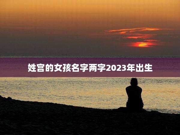 姓宫的女孩名字两字2023年出生