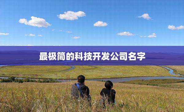 最极简的科技开发公司名字
