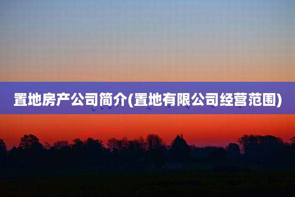 置地房产公司简介(置地有限公司经营范围)