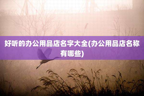 好听的办公用品店名字大全(办公用品店名称有哪些)