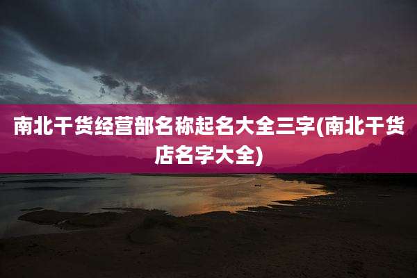 南北干货经营部名称起名大全三字(南北干货店名字大全)