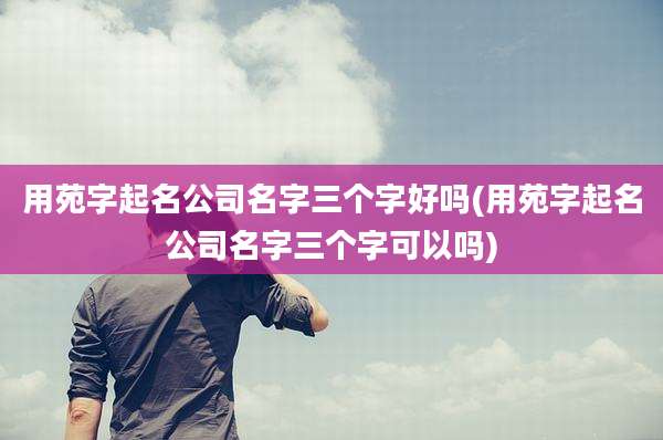 用苑字起名公司名字三个字好吗(用苑字起名公司名字三个字可以吗)