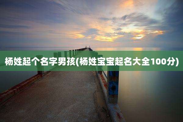 杨姓起个名字男孩(杨姓宝宝起名大全100分)