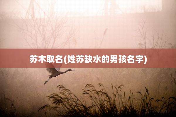 苏木取名(姓苏缺水的男孩名字)