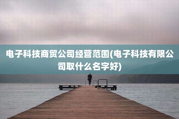 电子科技商贸公司经营范围(电子科技有限公司取什么名字好)