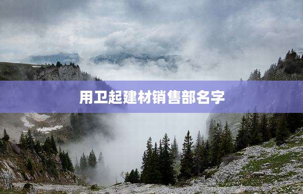 用卫起建材销售部名字