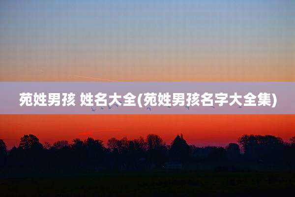 苑姓男孩 姓名大全(苑姓男孩名字大全集)