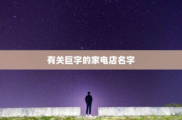 有关巨字的家电店名字