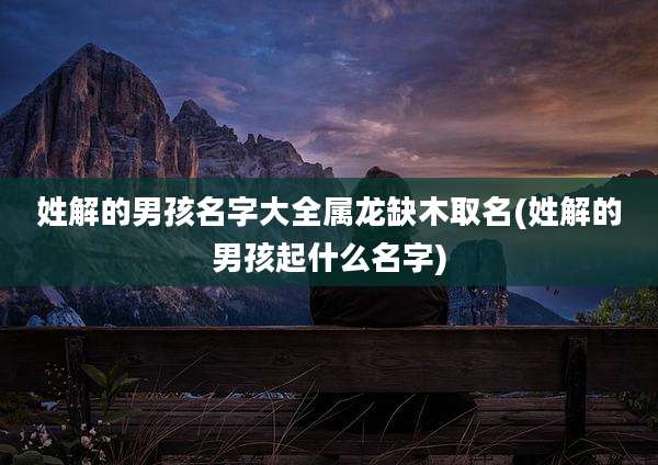 姓解的男孩名字大全属龙缺木取名(姓解的男孩起什么名字)