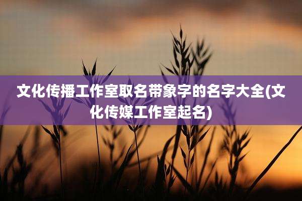文化传播工作室取名带象字的名字大全(文化传媒工作室起名)