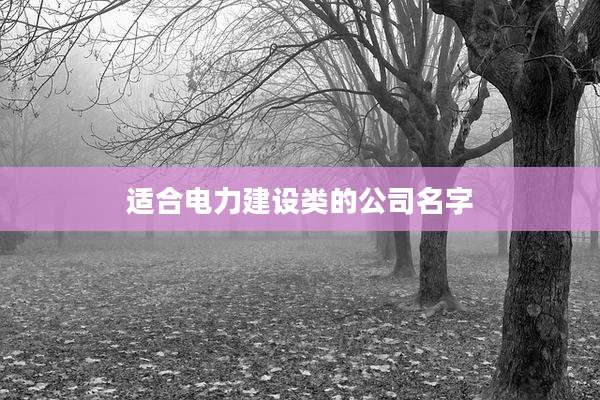 适合电力建设类的公司名字