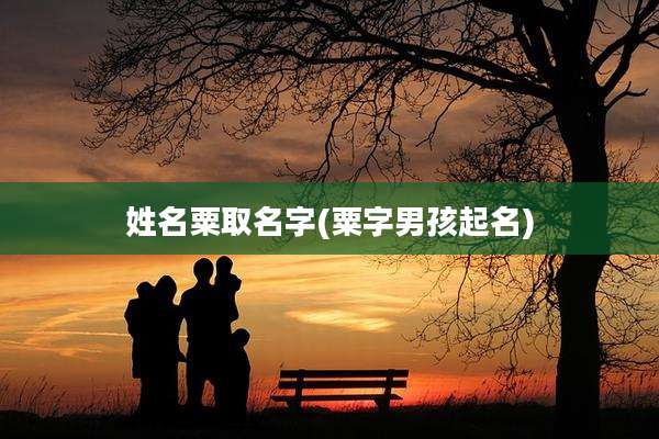 姓名粟取名字(粟字男孩起名)