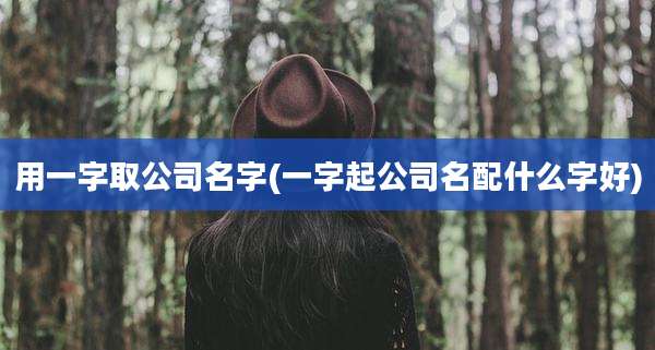 用一字取公司名字(一字起公司名配什么字好)
