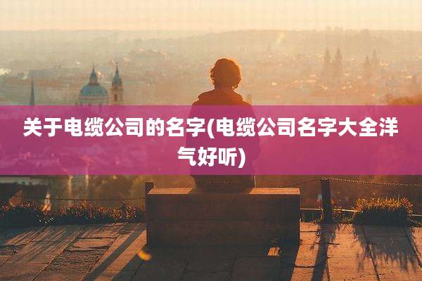关于电缆公司的名字(电缆公司名字大全洋气好听)