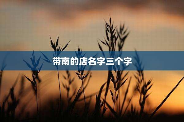 带南的店名字三个字