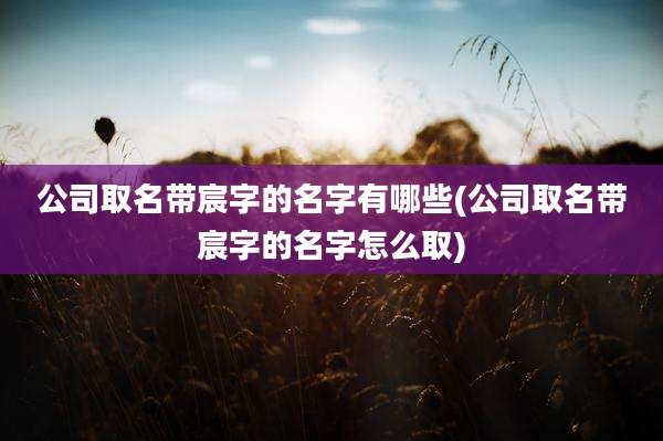 公司取名带宸字的名字有哪些(公司取名带宸字的名字怎么取)