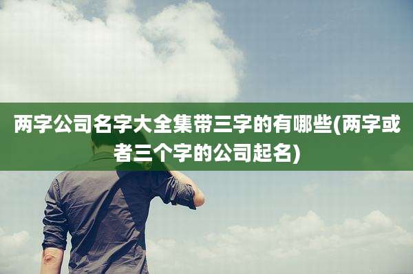 两字公司名字大全集带三字的有哪些(两字或者三个字的公司起名)