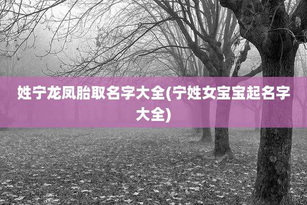 姓宁龙凤胎取名字大全(宁姓女宝宝起名字大全)