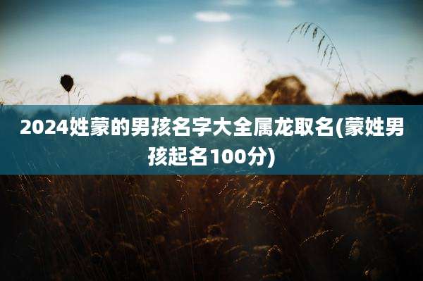 2024姓蒙的男孩名字大全属龙取名(蒙姓男孩起名100分)