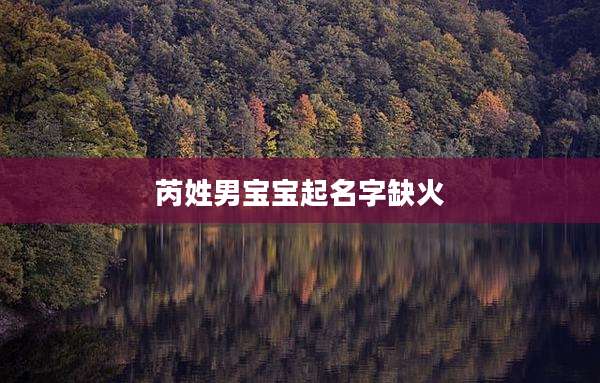 芮姓男宝宝起名字缺火