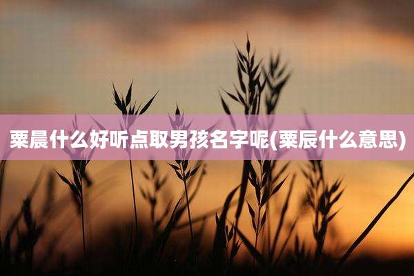 粟晨什么好听点取男孩名字呢(粟辰什么意思)