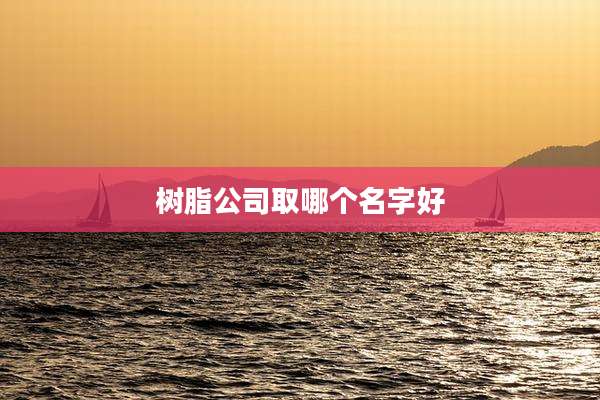 树脂公司取哪个名字好