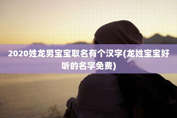 2020姓龙男宝宝取名有个汉字(龙姓宝宝好听的名字免费)