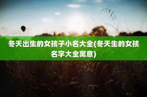 冬天出生的女孩子小名大全(冬天生的女孩名字大全寓意)