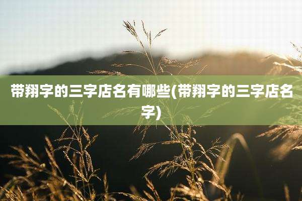 带翔字的三字店名有哪些(带翔字的三字店名字)