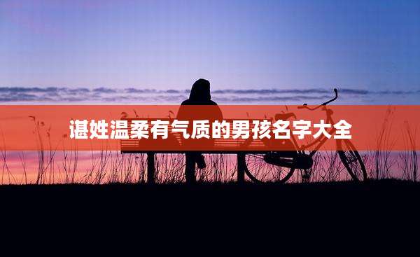 谌姓温柔有气质的男孩名字大全