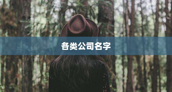 各类公司名字