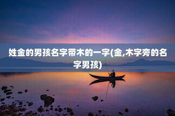 姓金的男孩名字带木的一字(金,木字旁的名字男孩)