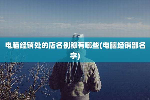 电脑经销处的店名别称有哪些(电脑经销部名字)