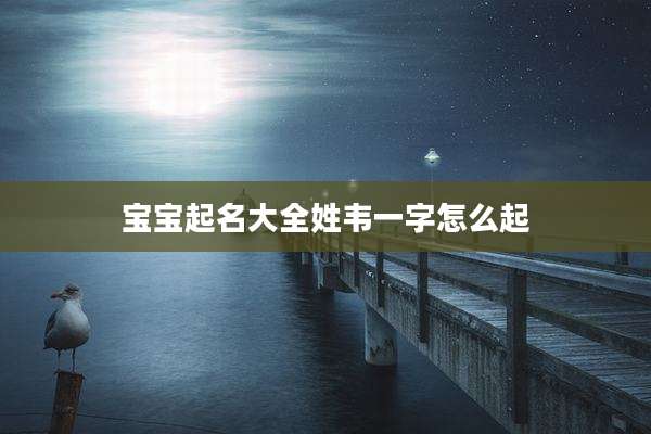 宝宝起名大全姓韦一字怎么起